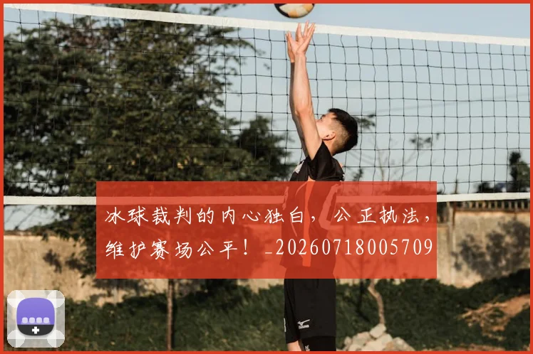 冰球裁判的内心独白,公正执法,维护赛场公平!_20260718005709
