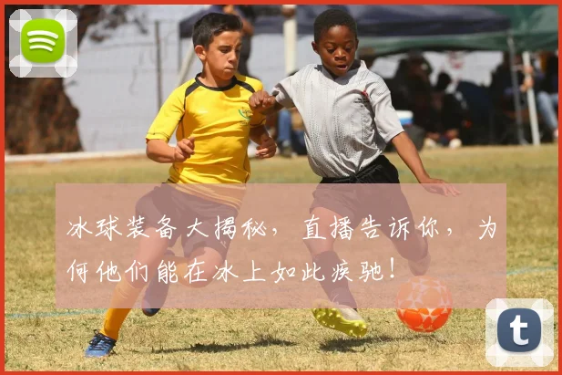 冰球装备大揭秘,直播告诉你,为何他们能在冰上如此疾驰!